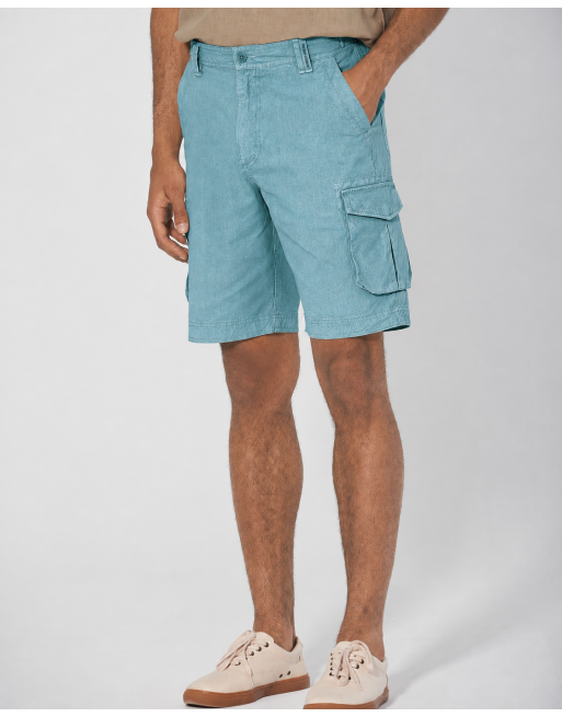 Solide Cargoshorts aus Hanf/Biobaumwolle - wave [dbf216a8c6a4fd949b15985343f46cd4]