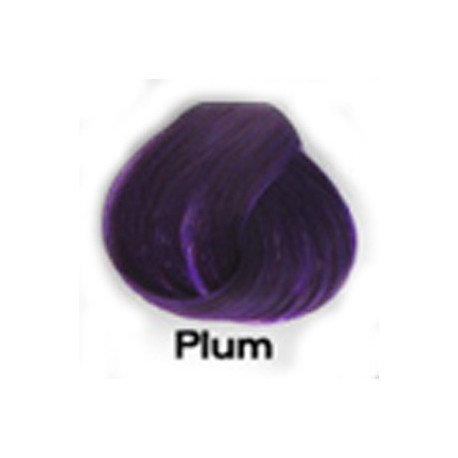 PLUM Directions Haartönung