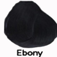 EBONY Directions Haartönung