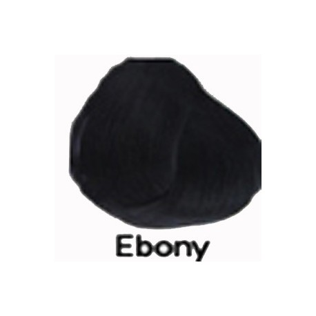 EBONY Directions Haartönung