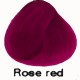 ROSE RED Directions Haartönung