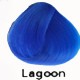 LAGOON Directions Haartönung